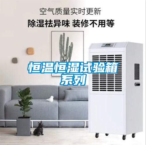 欧美黄色性爱视频网站 恒温恒湿试验箱系列