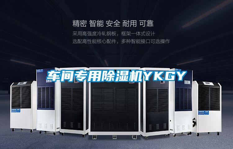 欧美黄色性爱视频网站 车间专用除湿机YKGY