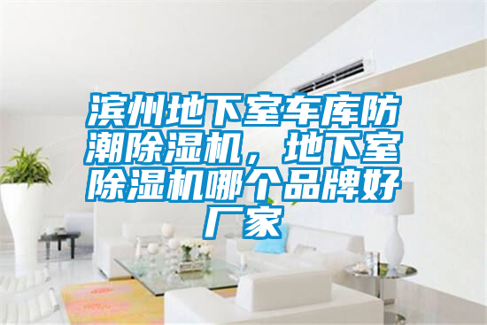 欧美黄色性爱视频网站 滨州地下室车库防潮除湿机，地下室除湿机哪个品牌好厂家