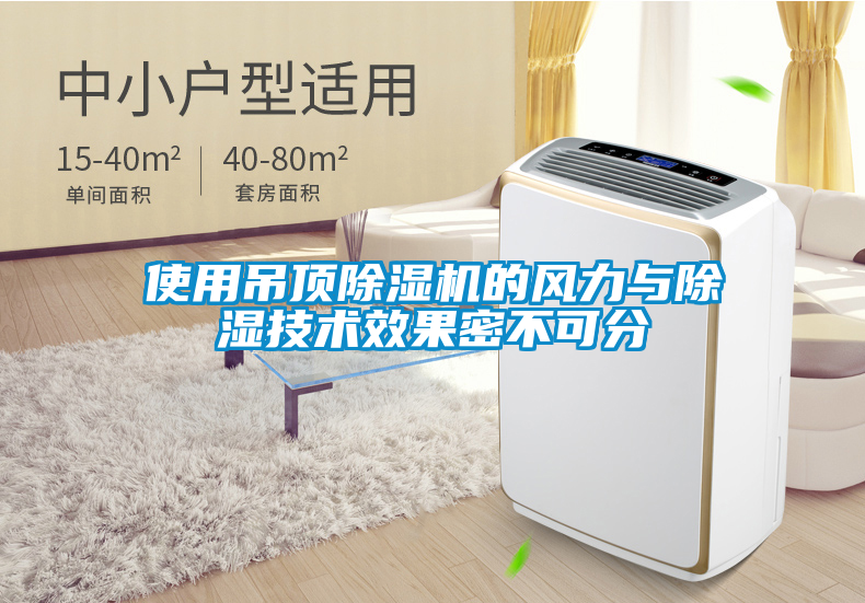 欧美成色手机在线观看 使用吊顶除湿机的风力与除湿技术效果密不可分
