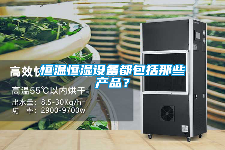 欧美黄色性爱视频网站 恒温恒湿设备都包括那些产品？