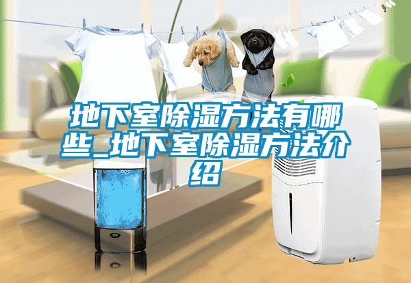 欧美黄色性爱视频网站 地下室除湿方法有哪些_地下室除湿方法介绍