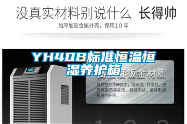 欧美黄色性爱视频网站 YH40B标准恒温恒湿养护箱