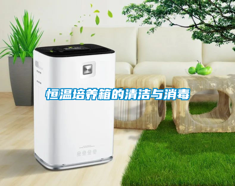 欧美黄色电影在线播放 恒温培养箱的清洁与消毒