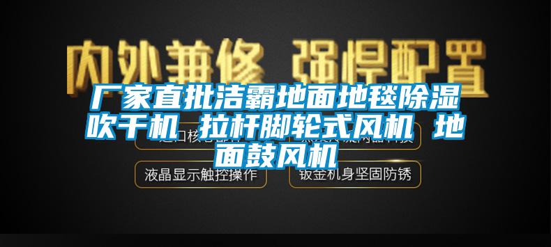 欧美黄色电影在线播放 厂家直批洁霸地面地毯除湿吹干机 拉杆脚轮式风机 地面鼓风机