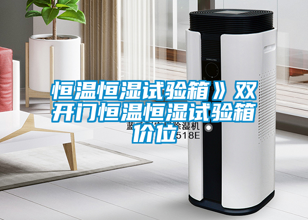 欧美黄色电影在线播放 恒温恒湿试验箱》双开门恒温恒湿试验箱价位