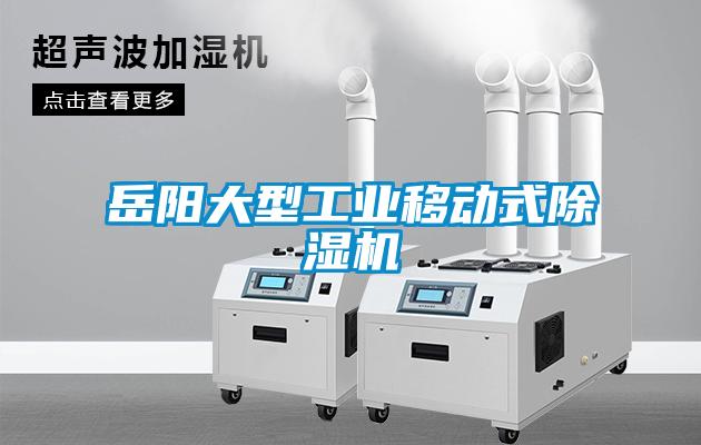欧美黄色性爱视频网站 岳阳大型工业移动式除湿机
