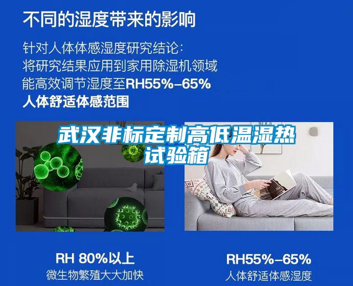 欧美黄色性爱视频网站 武汉非标定制高低温湿热试验箱