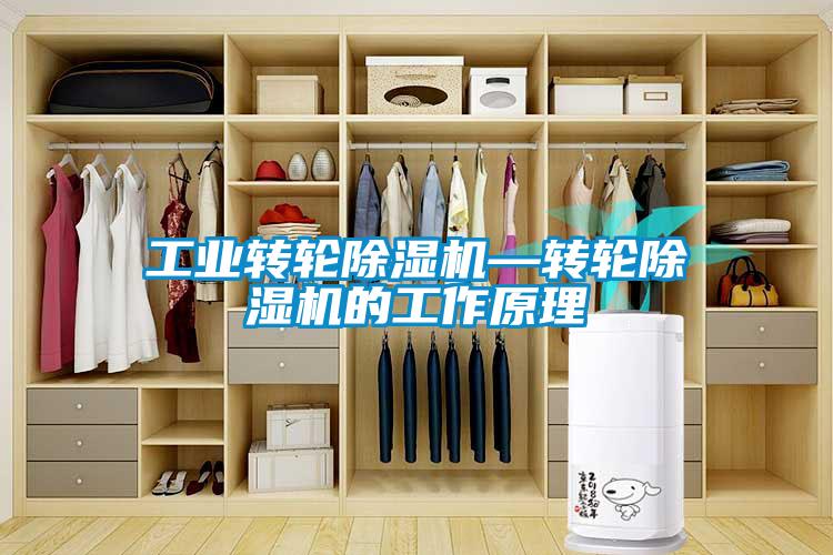 欧美黄色电影在线播放 工业转轮除湿机—转轮除湿机的工作原理