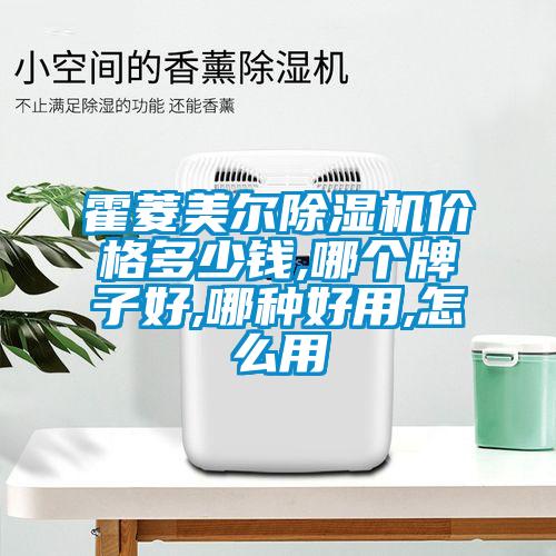 欧美黄色电影在线播放 霍菱美尔除湿机价格多少钱,哪个牌子好,哪种好用,怎么用