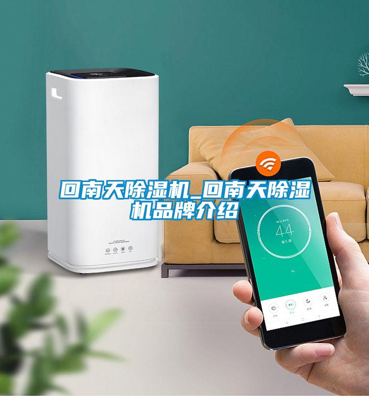 欧美黄色性爱视频网站 回南天除湿机_回南天除湿机品牌介绍