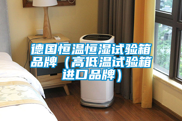 欧美黄色性爱视频网站 德国恒温恒湿试验箱品牌（高低温试验箱进口品牌）