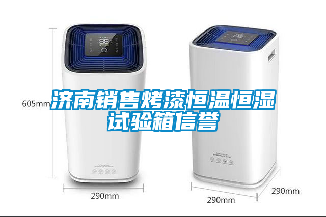 欧美黄色性爱视频网站 济南销售烤漆恒温恒湿试验箱信誉