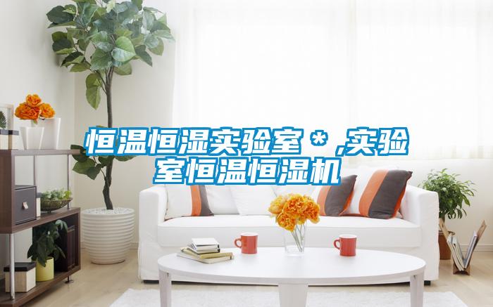 欧美黄色性爱视频网站 恒温恒湿实验室＊,实验室恒温恒湿机