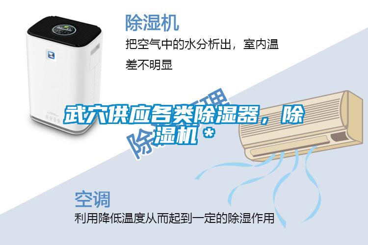 欧美黄色电影在线播放 武穴供应各类除湿器，除湿机＊