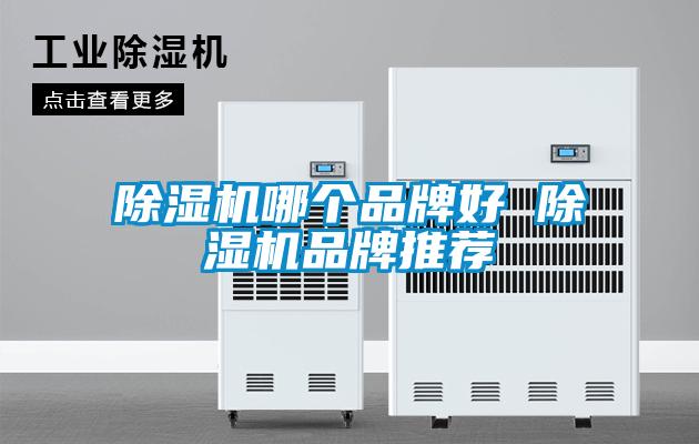 欧美黄色性爱视频网站 除湿机哪个品牌好 除湿机品牌推荐