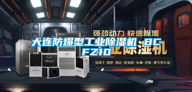 欧美成色手机在线观看 大连防爆型工业除湿机 BCFZ10