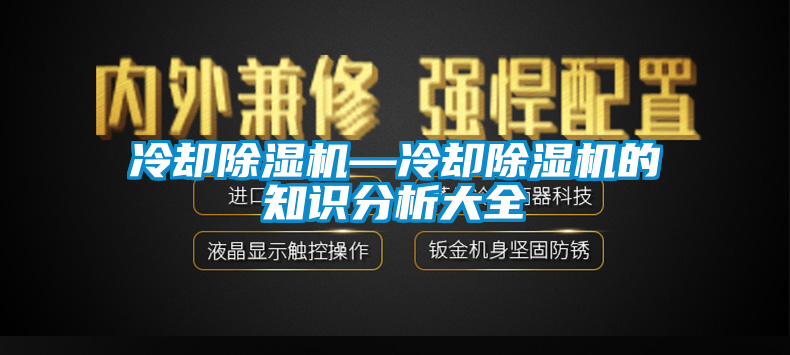 欧美黄色性爱视频网站 冷却除湿机—冷却除湿机的知识分析大全