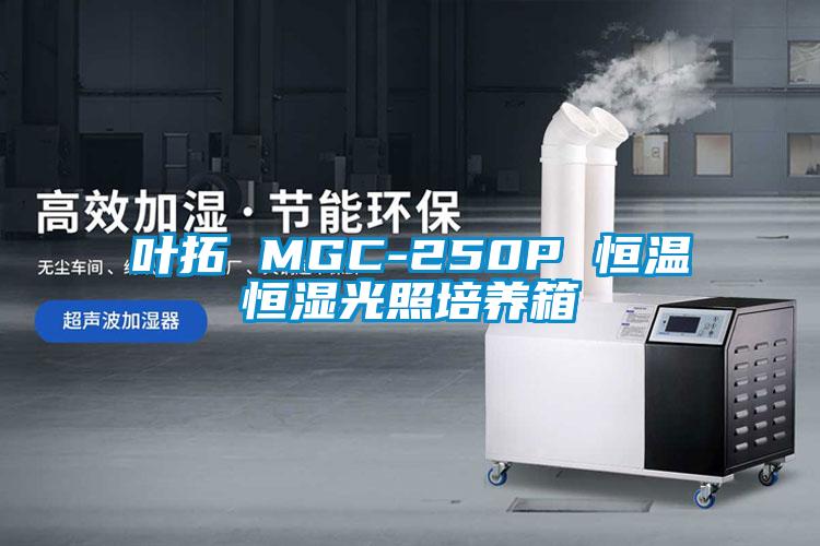 欧美成色手机在线观看 叶拓 MGC-250P 恒温恒湿光照培养箱