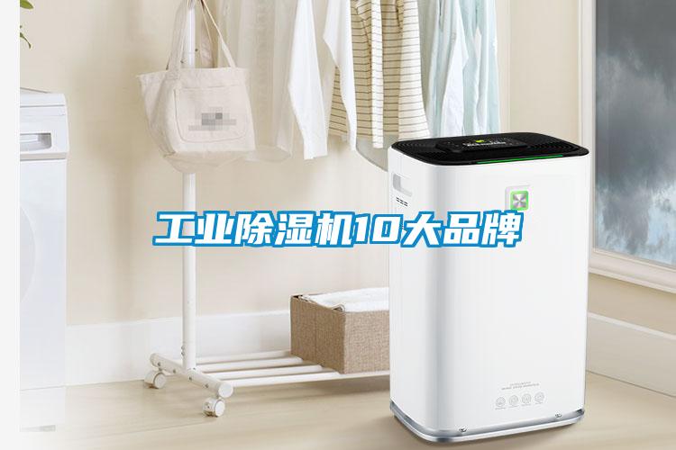 欧美黄色电影在线播放 工业除湿机10大品牌
