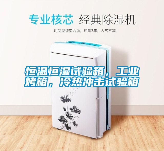 欧美黄色电影在线播放 恒温恒湿试验箱，工业烤箱，冷热冲击试验箱