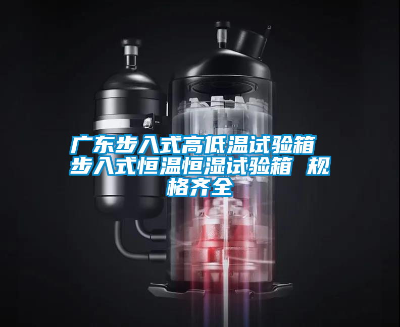 欧美成色手机在线观看 广东步入式高低温试验箱 步入式恒温恒湿试验箱 规格齐全