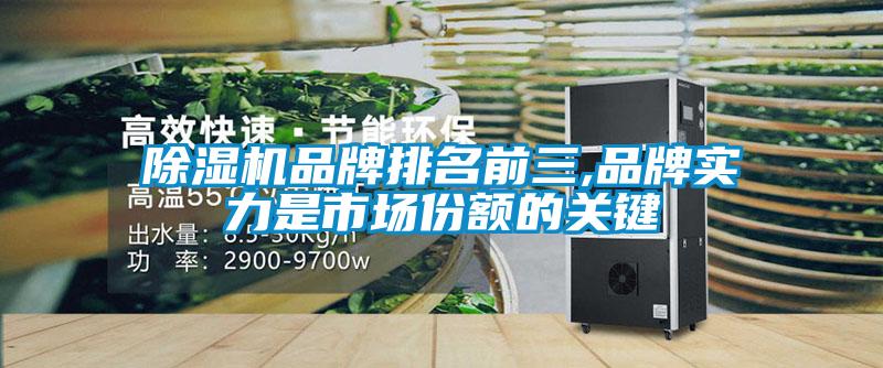 欧美黄色电影在线播放 除湿机品牌排名前三,品牌实力是市场份额的关键