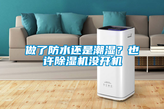 欧美成色手机在线观看 做了防水还是潮湿？也许除湿机没开机