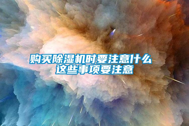 欧美黄色性爱视频网站 购买除湿机时要注意什么 这些事项要注意