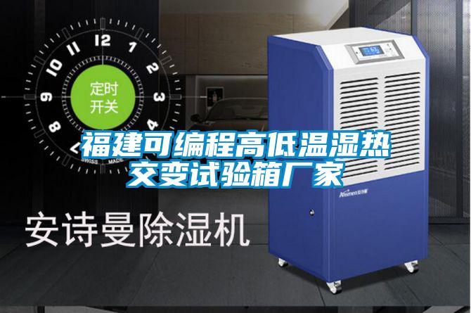欧美黄色性爱视频网站 福建可编程高低温湿热交变试验箱厂家