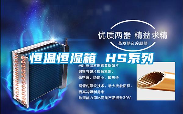 欧美黄色性爱视频网站 恒温恒湿箱 HS系列