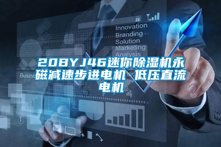 欧美黄色性爱视频网站 20BYJ46迷你除湿机永磁减速步进电机 低压直流电机