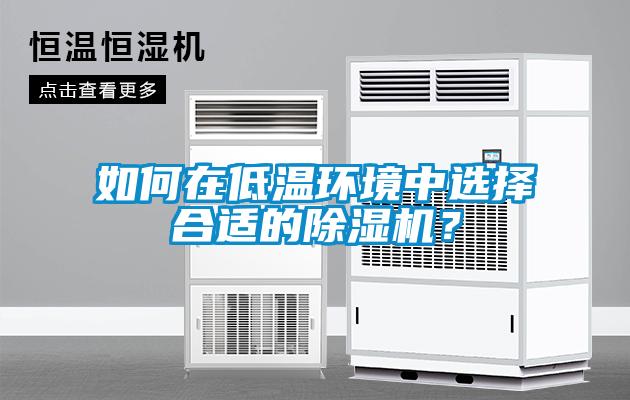 欧美黄色性爱视频网站 如何在低温环境中选择合适的除湿机？