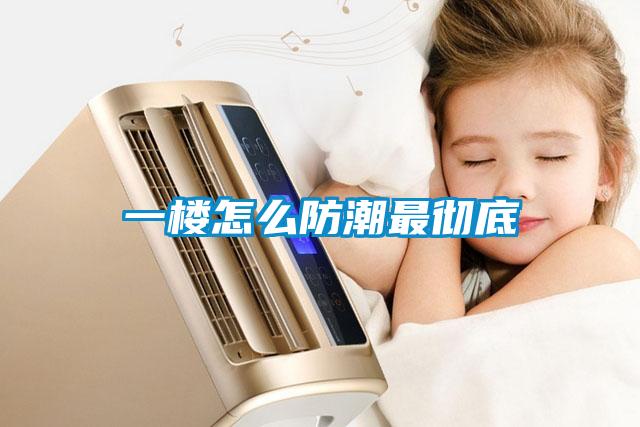 欧美成色手机在线观看 一楼怎么防潮最彻底
