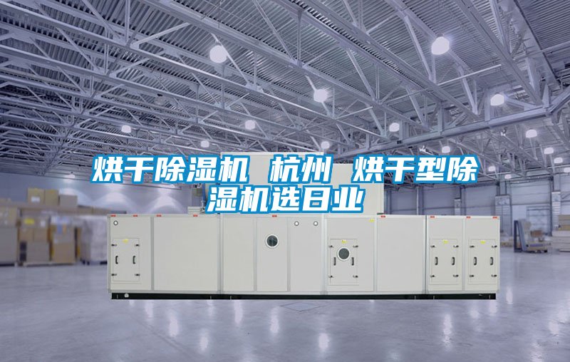 欧美黄色性爱视频网站 烘干除湿机 杭州 烘干型除湿机选日业