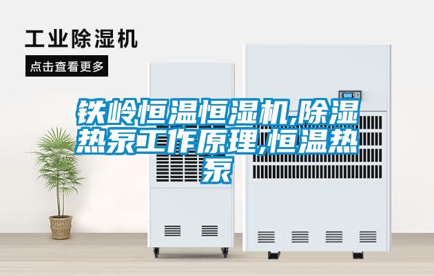 欧美黄色性爱视频网站 铁岭恒温恒湿机,除湿热泵工作原理,恒温热泵