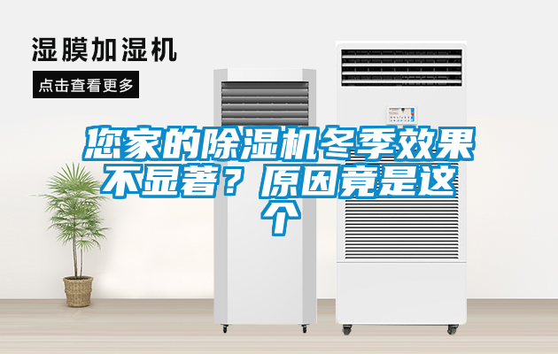 欧美黄色电影在线播放 您家的除湿机冬季效果不显著？原因竟是这个