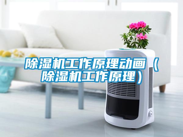 欧美黄色电影在线播放 除湿机工作原理动画（除湿机工作原理）