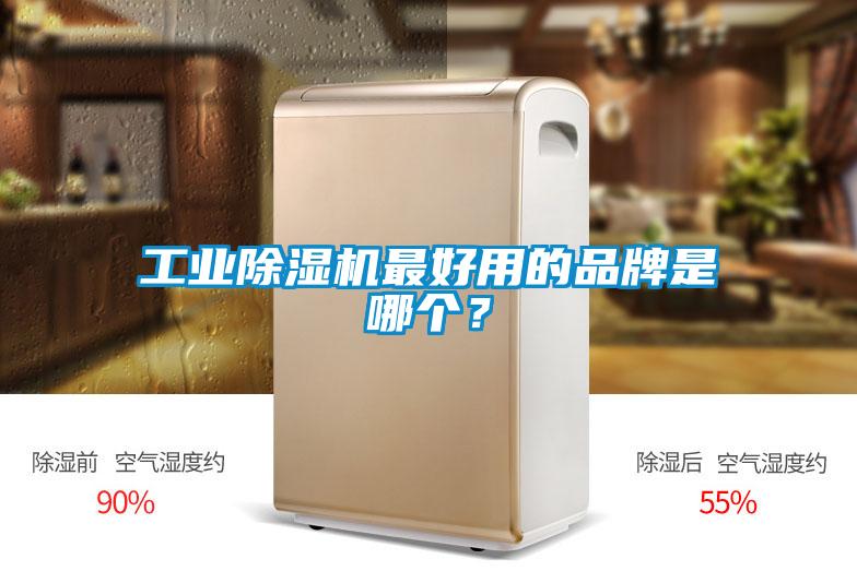 欧美黄色性爱视频网站 工业除湿机最好用的品牌是哪个？