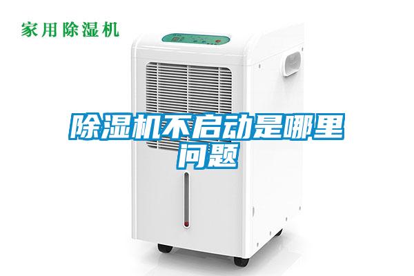 欧美成色手机在线观看 除湿机不启动是哪里问题