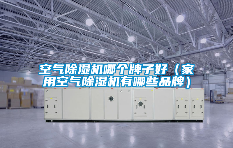 欧美黄色性爱视频网站 空气除湿机哪个牌子好（家用空气除湿机有哪些品牌）