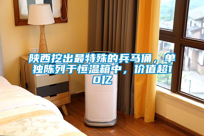 欧美成色手机在线观看 陕西挖出最特殊的兵马俑，单独陈列于恒温箱中，价值超10亿