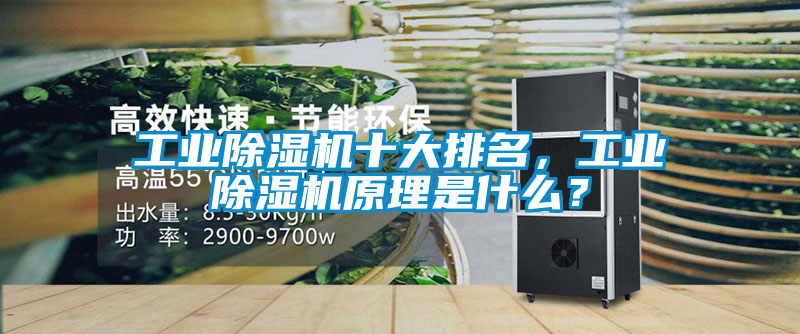 欧美黄色性爱视频网站 工业除湿机十大排名，工业除湿机原理是什么？
