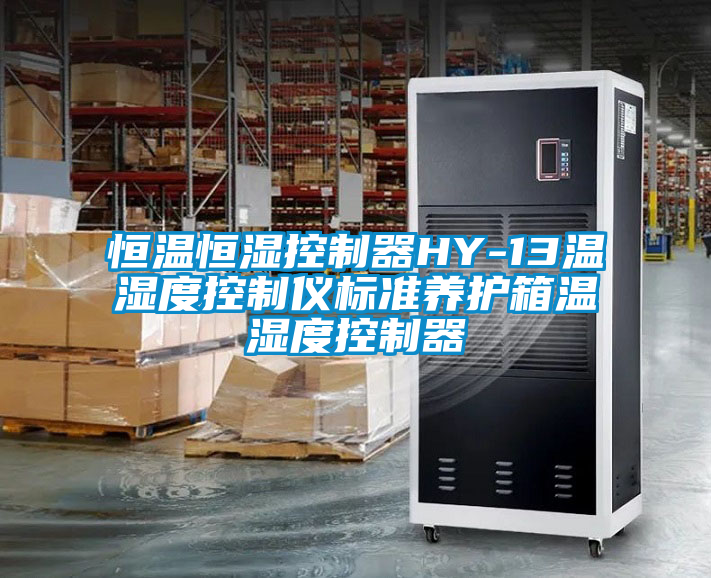 欧美黄色电影在线播放 恒温恒湿控制器HY-13温湿度控制仪标准养护箱温湿度控制器