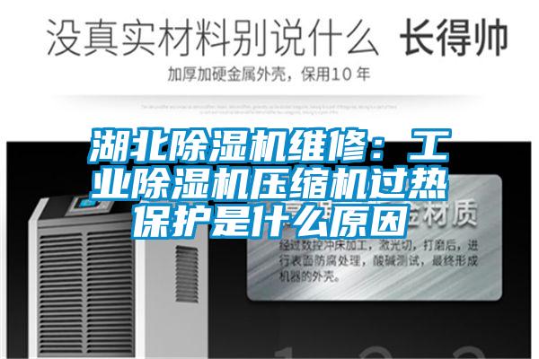 欧美成色手机在线观看 湖北除湿机维修：工业除湿机压缩机过热保护是什么原因