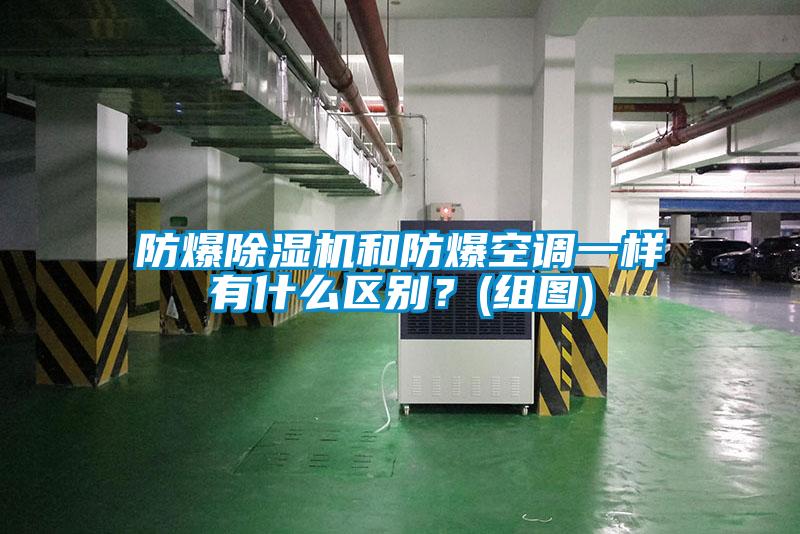 欧美成色手机在线观看 防爆除湿机和防爆空调一样有什么区别？(组图)