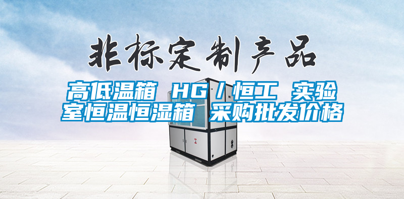 欧美成色手机在线观看 高低温箱 HG／恒工 实验室恒温恒湿箱 采购批发价格