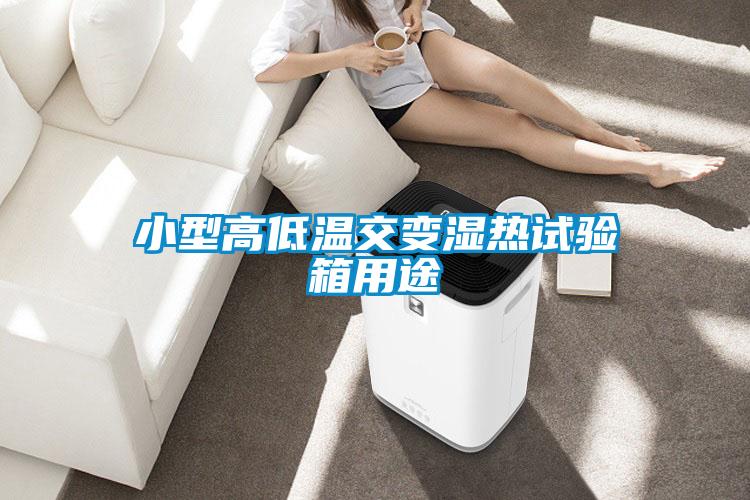 欧美黄色性爱视频网站 小型高低温交变湿热试验箱用途