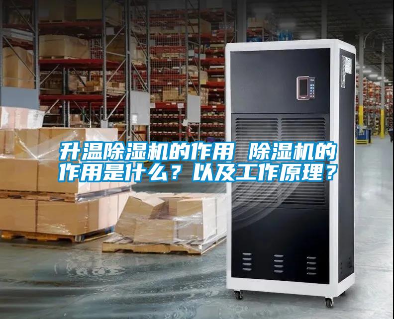 欧美黄色电影在线播放 升温除湿机的作用 除湿机的作用是什么？以及工作原理？
