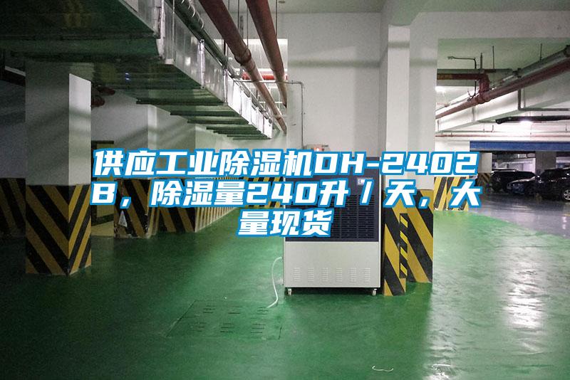 欧美黄色性爱视频网站 供应工业除湿机DH-2402B，除湿量240升／天，大量现货